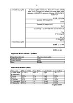 Biznesa plāns 'SIA "Cietais disks"', 12.