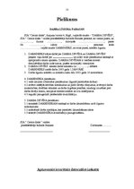 Biznesa plāns 'SIA "Cietais disks"', 13.