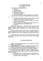 Referāts 'Internets tirgzinības sistēmā', 17.