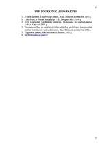 Referāts 'Internets tirgzinības sistēmā', 21.