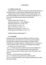 Referāts 'Prjaņiku ražošanas tehnoloģija', 5.