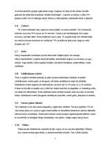 Referāts 'Prjaņiku ražošanas tehnoloģija', 7.