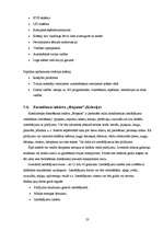 Referāts 'Prjaņiku ražošanas tehnoloģija', 23.