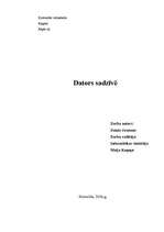 Referāts 'Dators sadzīvē', 1.