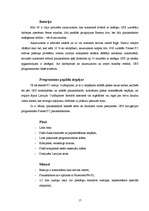 Referāts 'Dators sadzīvē', 17.