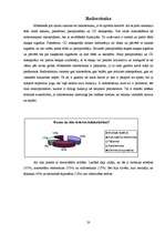 Referāts 'Dators sadzīvē', 20.