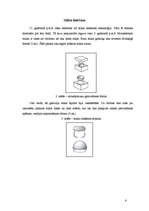 Referāts 'Stikla māksla', 6.