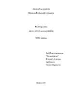 Referāts 'DVD iekārtas', 1.