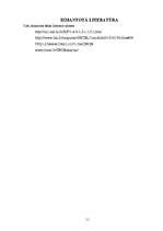 Referāts 'DVD iekārtas', 11.