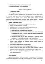 Prakses atskaite 'Mācību prakse SIA "K"', 47.