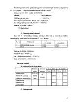 Prakses atskaite 'Mācību prakse SIA "K"', 61.