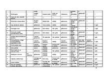 Prakses atskaite 'Mācību prakse SIA "K"', 68.