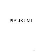 Prakses atskaite 'Mācību prakse SIA "K"', 83.