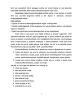 Referāts 'Sociālpedagoģiskās programmas plāna izstrāde', 2.