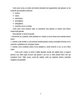 Referāts 'Sociālpedagoģiskās programmas plāna izstrāde', 3.