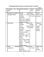 Referāts 'Sociālpedagoģiskās programmas plāna izstrāde', 4.