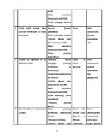 Referāts 'Sociālpedagoģiskās programmas plāna izstrāde', 5.