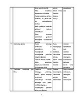 Referāts 'Sociālpedagoģiskās programmas plāna izstrāde', 6.