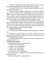 Referāts 'Sociālpedagoģiskās programmas plāna izstrāde', 11.