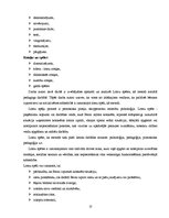 Referāts 'Sociālpedagoģiskās programmas plāna izstrāde', 13.