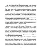 Referāts 'Sociālpedagoģiskās programmas plāna izstrāde', 14.