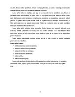 Referāts 'Sociālpedagoģiskās programmas plāna izstrāde', 15.