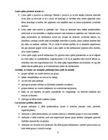 Referāts 'Sociālpedagoģiskās programmas plāna izstrāde', 17.