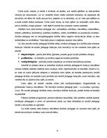 Referāts 'Sociālpedagoģiskās programmas plāna izstrāde', 18.