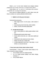 Konspekts 'Literatūras teorijas jautājumi, kuri jānoskaidro, lai analizētu prozas darbu', 8.