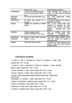 Konspekts 'Literatūras teorijas jautājumi, kuri jānoskaidro, lai analizētu prozas darbu', 12.