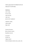 Prakses atskaite 'Aprūpes plāns. Gastrīts, māszinības', 3.