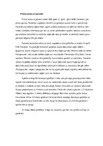 Prakses atskaite 'Aprūpes plāns. Gastrīts, māszinības', 4.