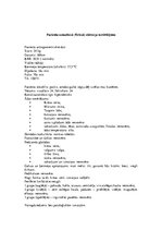 Prakses atskaite 'Aprūpes plāns. Gastrīts, māszinības', 6.