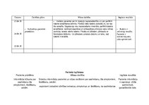 Prakses atskaite 'Aprūpes plāns. Gastrīts, māszinības', 27.