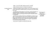 Prakses atskaite 'Aprūpes plāns. Gastrīts, māszinības', 29.