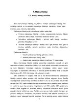 Referāts 'Masu mediju ietekme uz pusaudžu dzīvi', 4.