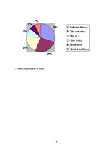 Referāts 'Masu mediju ietekme uz pusaudžu dzīvi', 19.