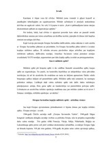 Referāts 'Eiropas Savienības kopējie militārie spēki: par un pret', 3.