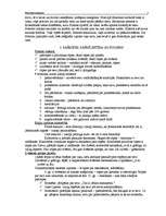 Konspekts 'Filosofijas konspekts', 2.