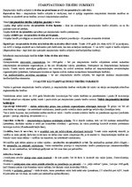 Konspekts 'Starptautisko tiesību subjekti', 1.