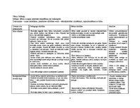 Konspekts 'Integrētā nodarbība ar runas attīstīšanas dominanti 3-4 gadus veciem bērniem', 1.