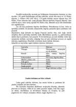 Konspekts 'Kafejnīcas - kokteiļbāra "Zilais Mēness" uzņēmuma izstrāde', 4.