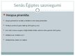 Prezentācija 'Eģiptes un Divupes sasniegumi', 3.