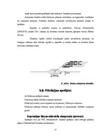 Referāts 'Ūdenskrātuves līmeņu un caurteču regulēšanas būvju projekts Vadakstes upes HES', 12.