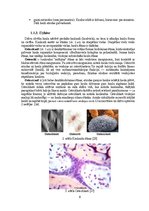 Diplomdarbs 'Astes kaula asimetrijas ietekme uz iegurņa  funkcionālo stāvokli', 8.