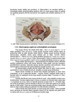 Diplomdarbs 'Astes kaula asimetrijas ietekme uz iegurņa  funkcionālo stāvokli', 13.