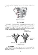 Diplomdarbs 'Astes kaula asimetrijas ietekme uz iegurņa  funkcionālo stāvokli', 15.