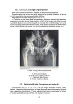 Diplomdarbs 'Astes kaula asimetrijas ietekme uz iegurņa  funkcionālo stāvokli', 18.
