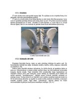 Diplomdarbs 'Astes kaula asimetrijas ietekme uz iegurņa  funkcionālo stāvokli', 19.