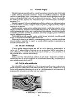 Diplomdarbs 'Astes kaula asimetrijas ietekme uz iegurņa  funkcionālo stāvokli', 20.